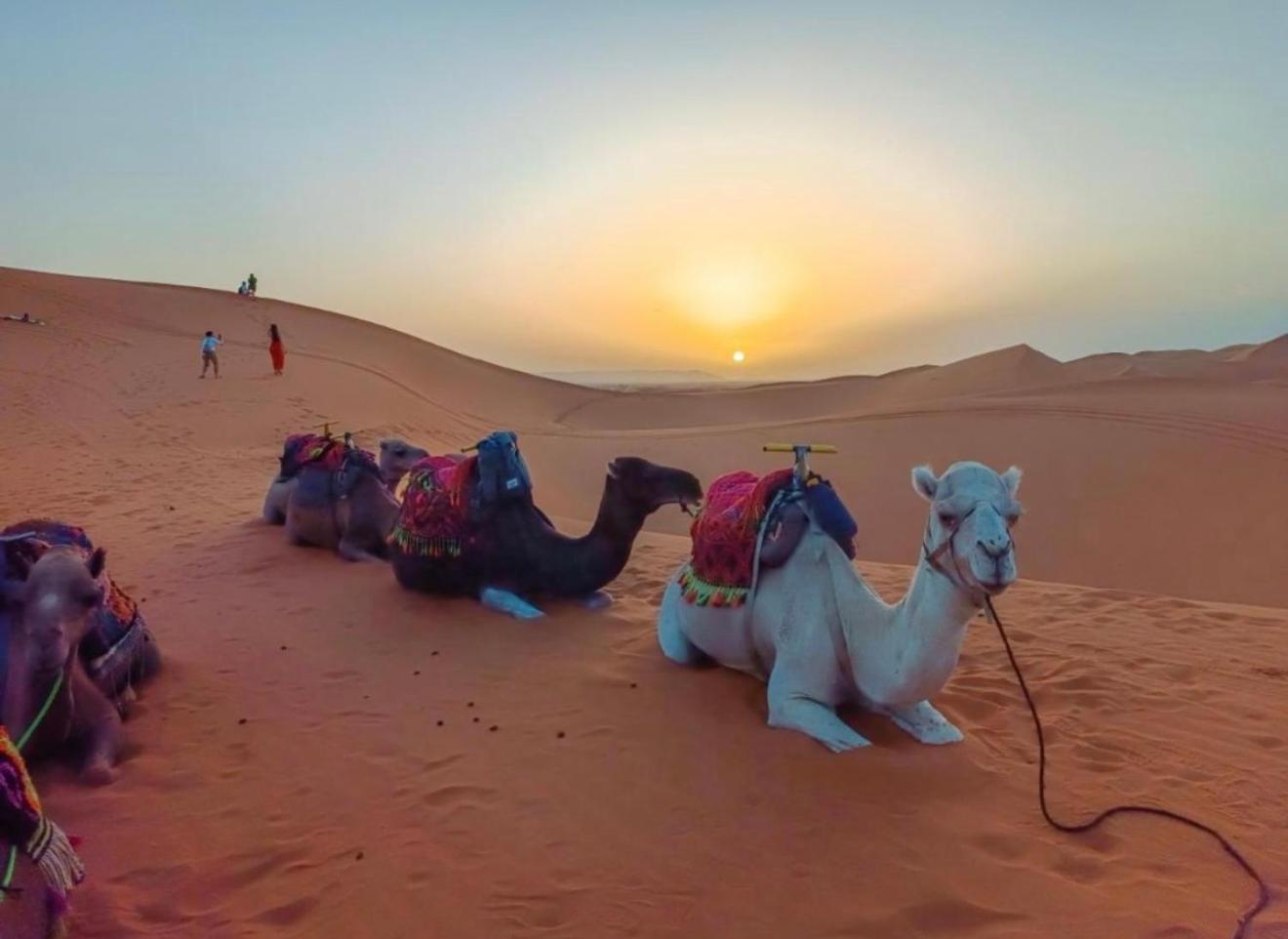 Merzouga Lovely Luxury Camp Exterior photo